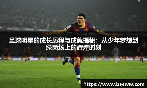 6688体育官网入口